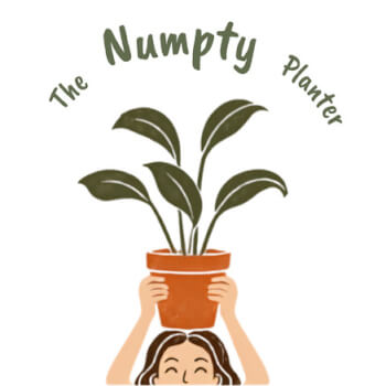 The Numpty Planter