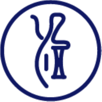 Yi Crafts