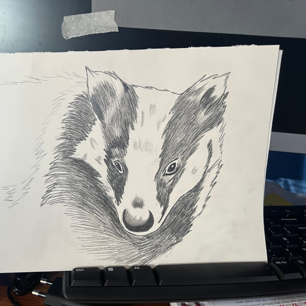 Beginner's Guide to Sketching Wildlife Class review by Angela Gaunt