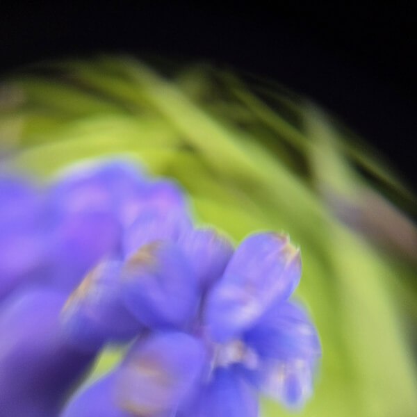 Bristol Harbourside Smartphone Photography Workshop review by Jenny Johnston - Bristol