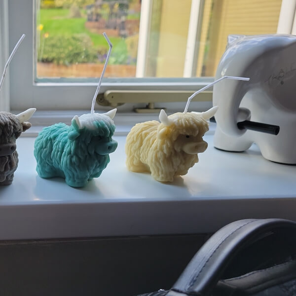 Highland Cow Candle Making Workshop review by Benjamin Allan - Milton Keynes