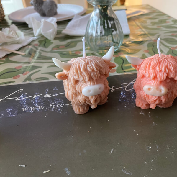 Highland Cow Candle Making Workshop review by Alison Loasby - Milton Keynes