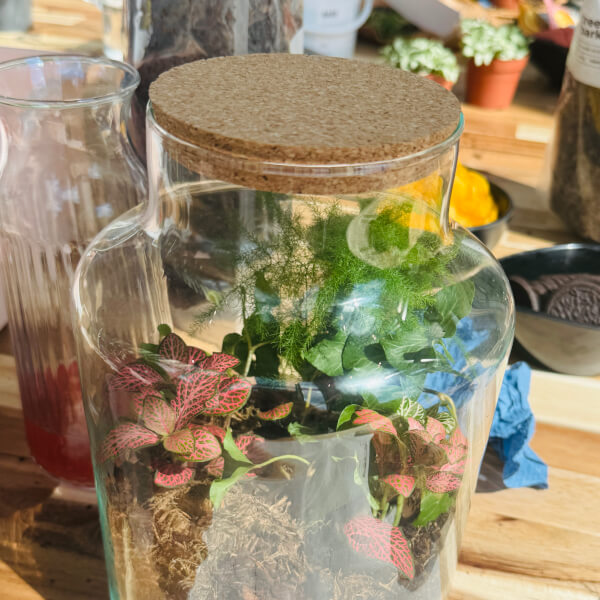 Best gift experience review