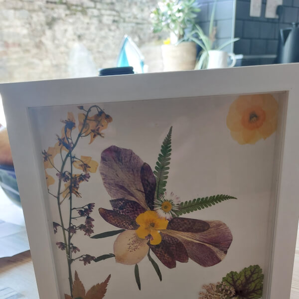 Best gift experience review