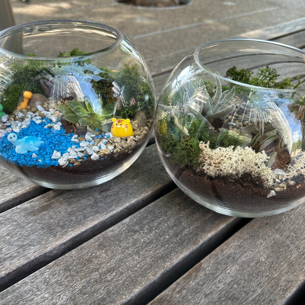 Real-Plant Terrarium Making Workshop review by Cyril Denniese Rabino - London