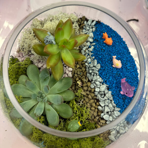 Real-Plant Terrarium Making Workshop review by Olivia Selvey - London