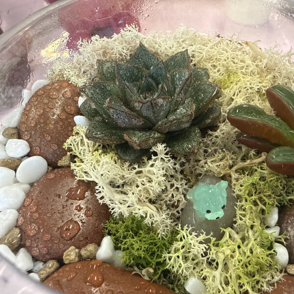 Real-Plant Terrarium Making Workshop review by Will Corston - London