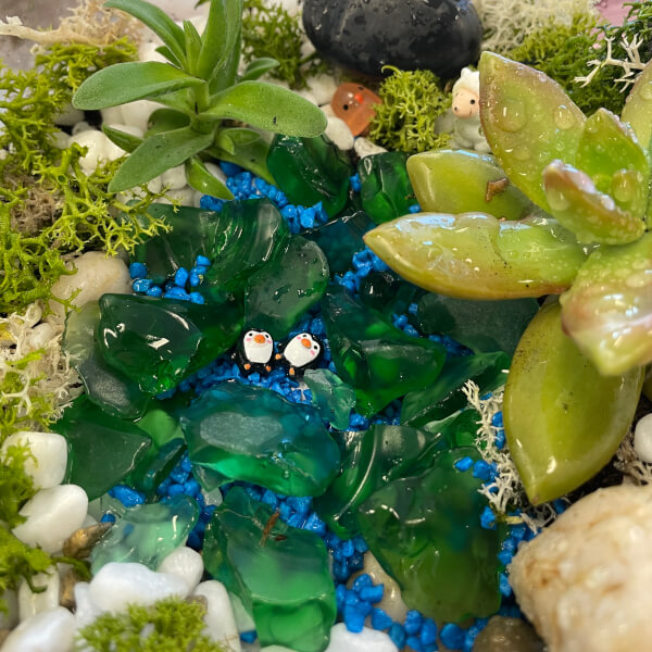 Real-Plant Terrarium Making Workshop review by Jack Alphey - London
