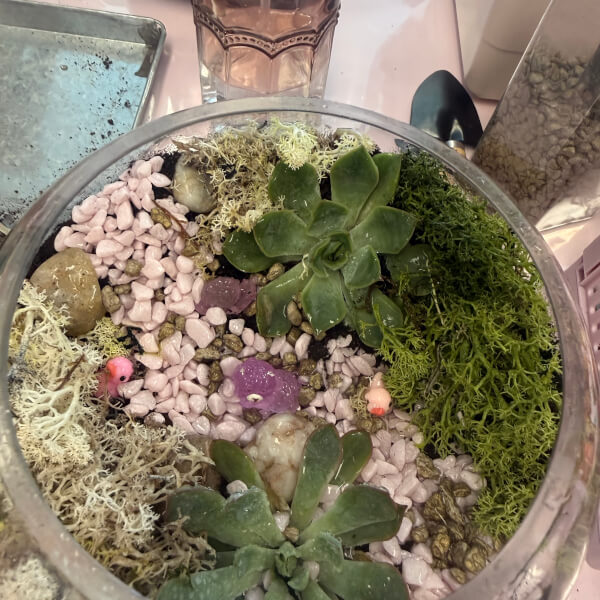 Real-Plant Terrarium Making Workshop review by Michala Love - London