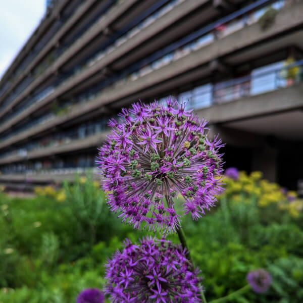 Smartphone Photography Class: Barbican review by Max Sadur Sutherland - London