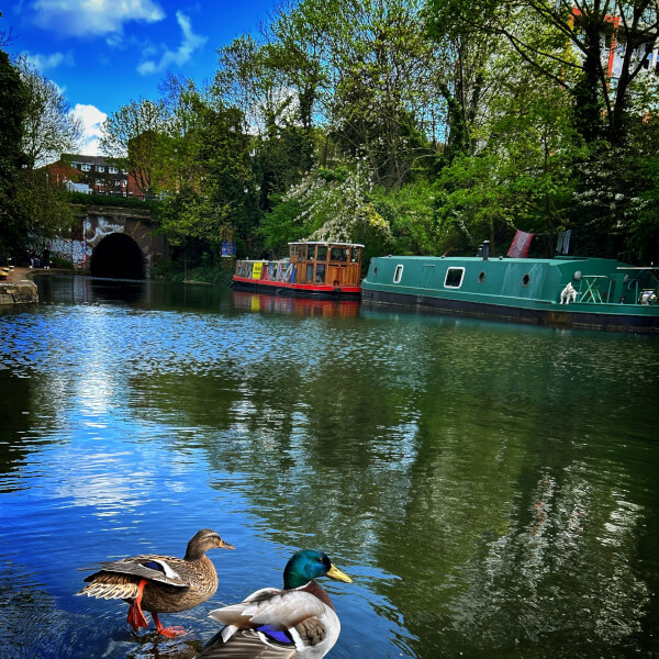 Smartphone Photography Class: King's Cross review by Lisa Taylor - London