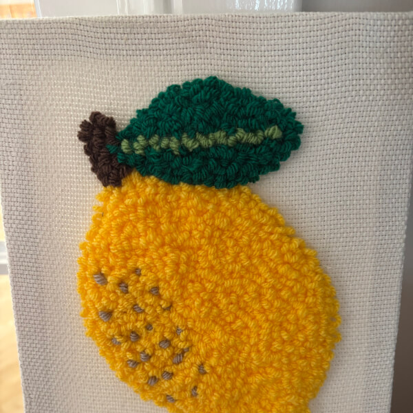 Summer Fruits Punch Needle Art Workshop review by Dorothy - Edinburgh