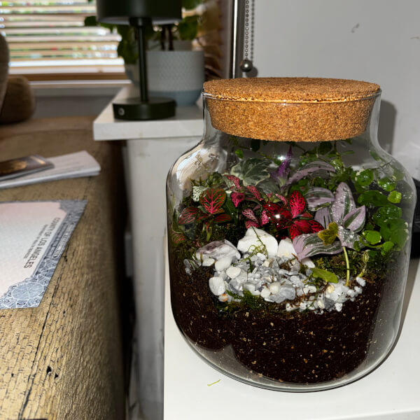 Terrarium Making Class review by Vicki Atkinson - Manchester