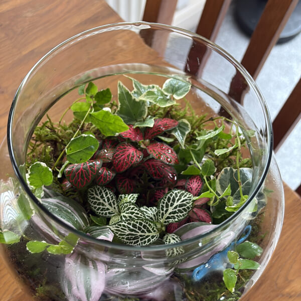 Terrarium Making Class review by Karen Jassim - Manchester