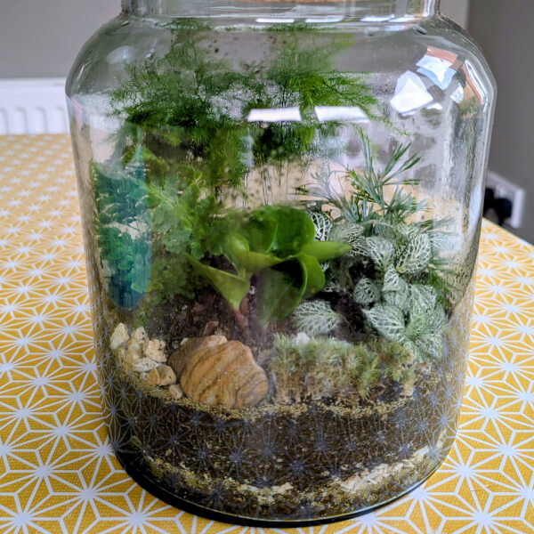 Terrarium Making Workshop review by Tracey Walker - Leicester