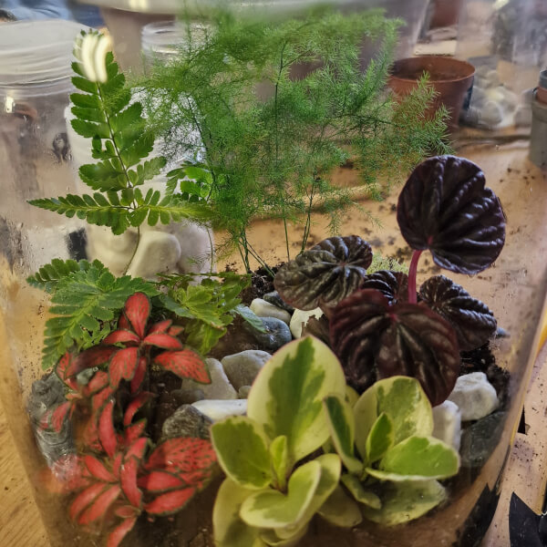 Terrarium Making Workshop review by Lib - Leicester