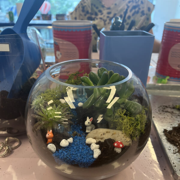 Terrarium Making Workshop review by Luis Reis da Silva - London