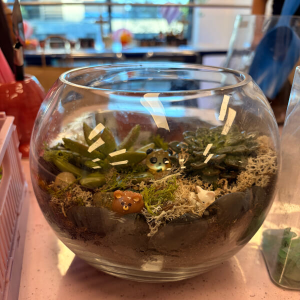 Terrarium Making Workshop review by Marcus Winchester - London