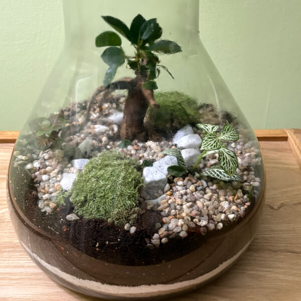 Terrarium Workshop review by Tracey Dodd - Manchester