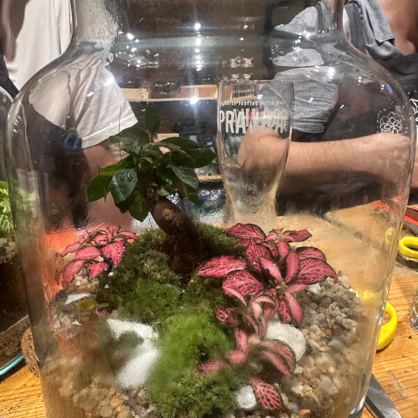 Terrarium Workshop review by Jessica Mae Brown - Manchester