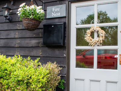 Fire Nest Studio