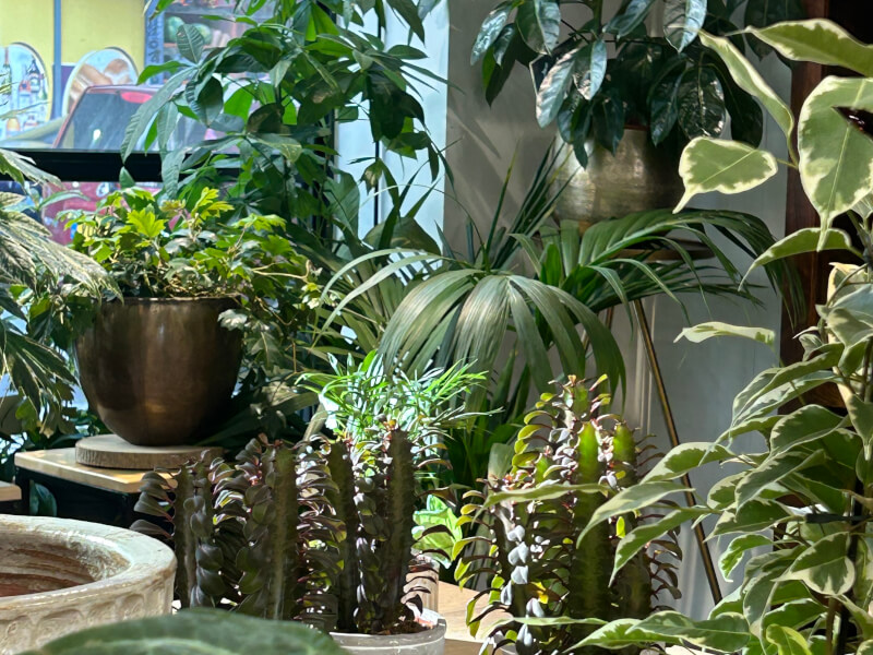 Liana Verderocce Floral Studio