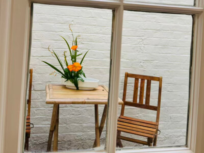 OX Orchidya Extra available for workshops
