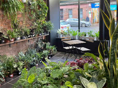 PlantMama (Southside)