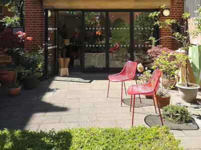 Serendipity Botanist Ltd