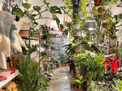 The Cornercopia Arts Space