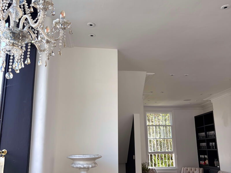 Wellness & Wilde