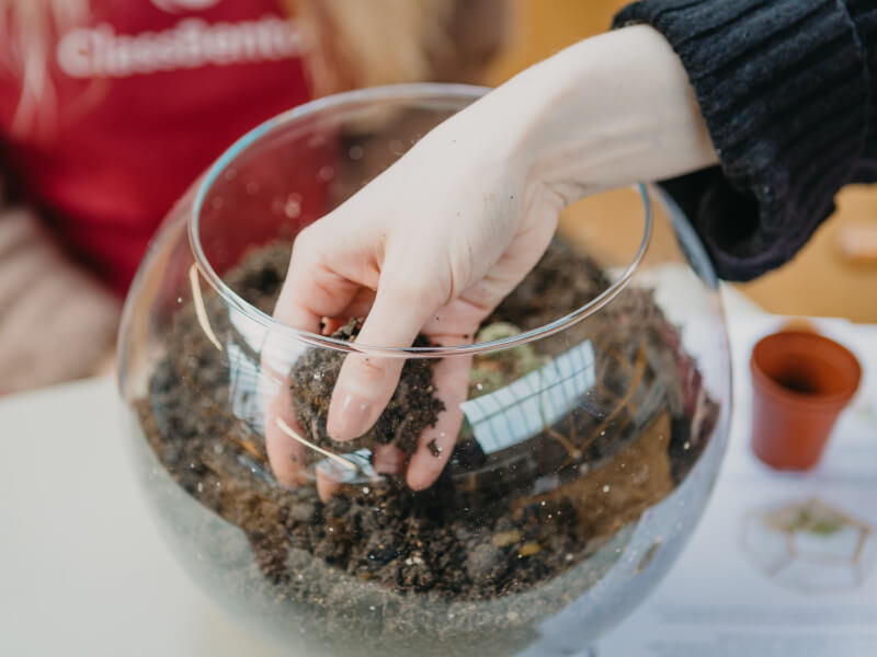 Hands add soil to a glass container to make a terrarium.