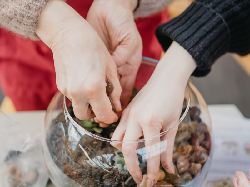 Two hands add stones and plants to the DIY terrarium.