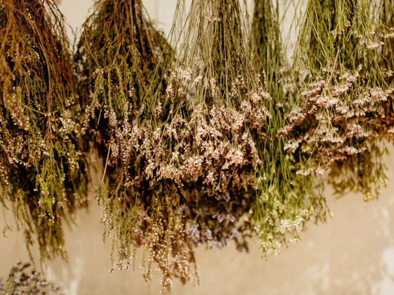 Bunches of flowers and foliage hanging up to dry