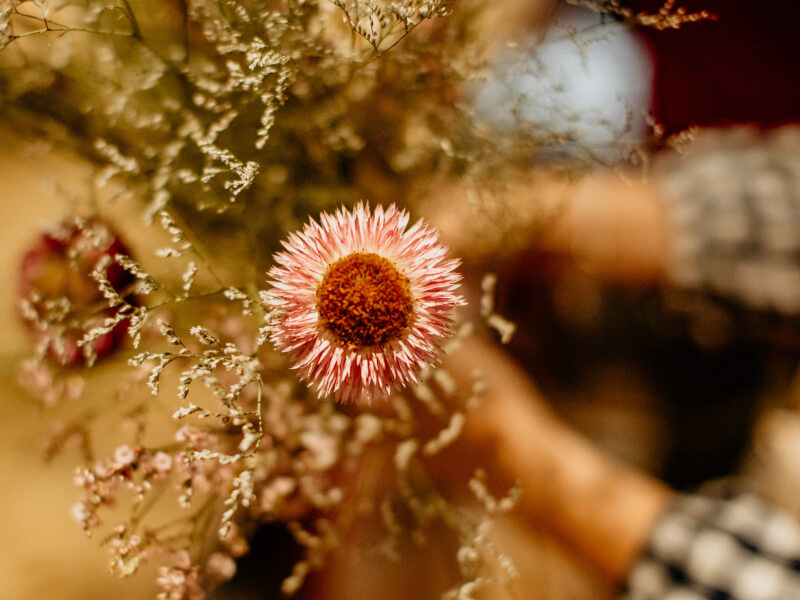 A close up of dried flowers