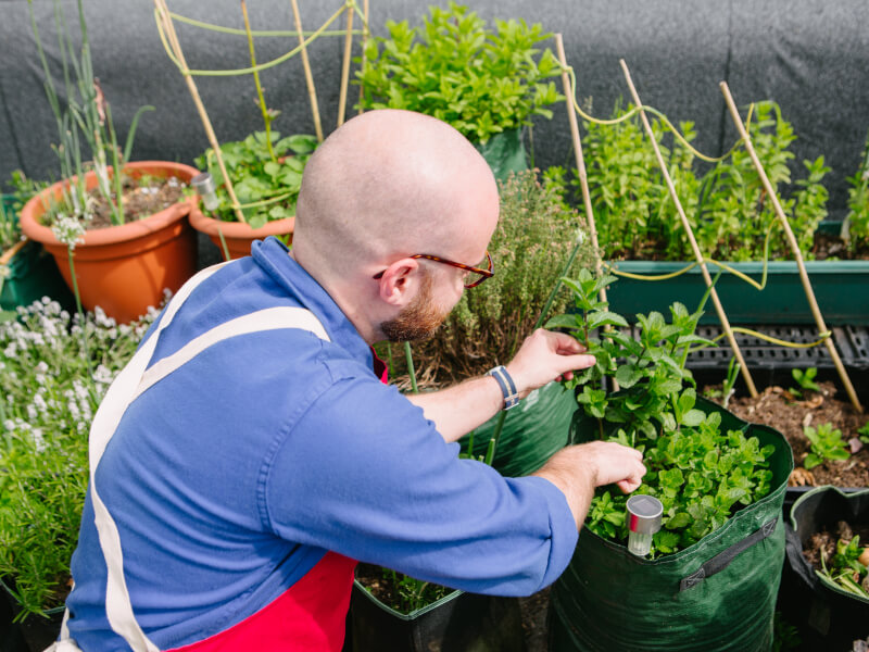 A man tending to a rooftop garden
