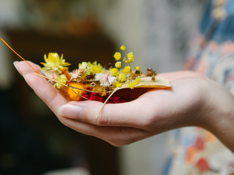 A close up of a hand holding a selection of small dried flowers