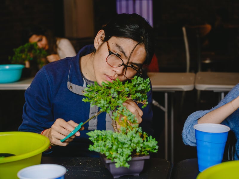 A student at a bonsai tree care class