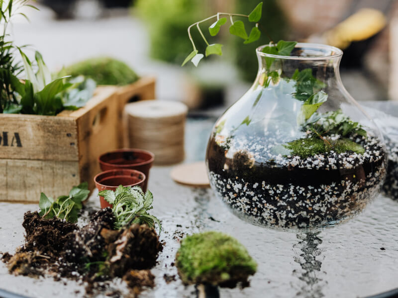 A glass terrarium in the process of being made