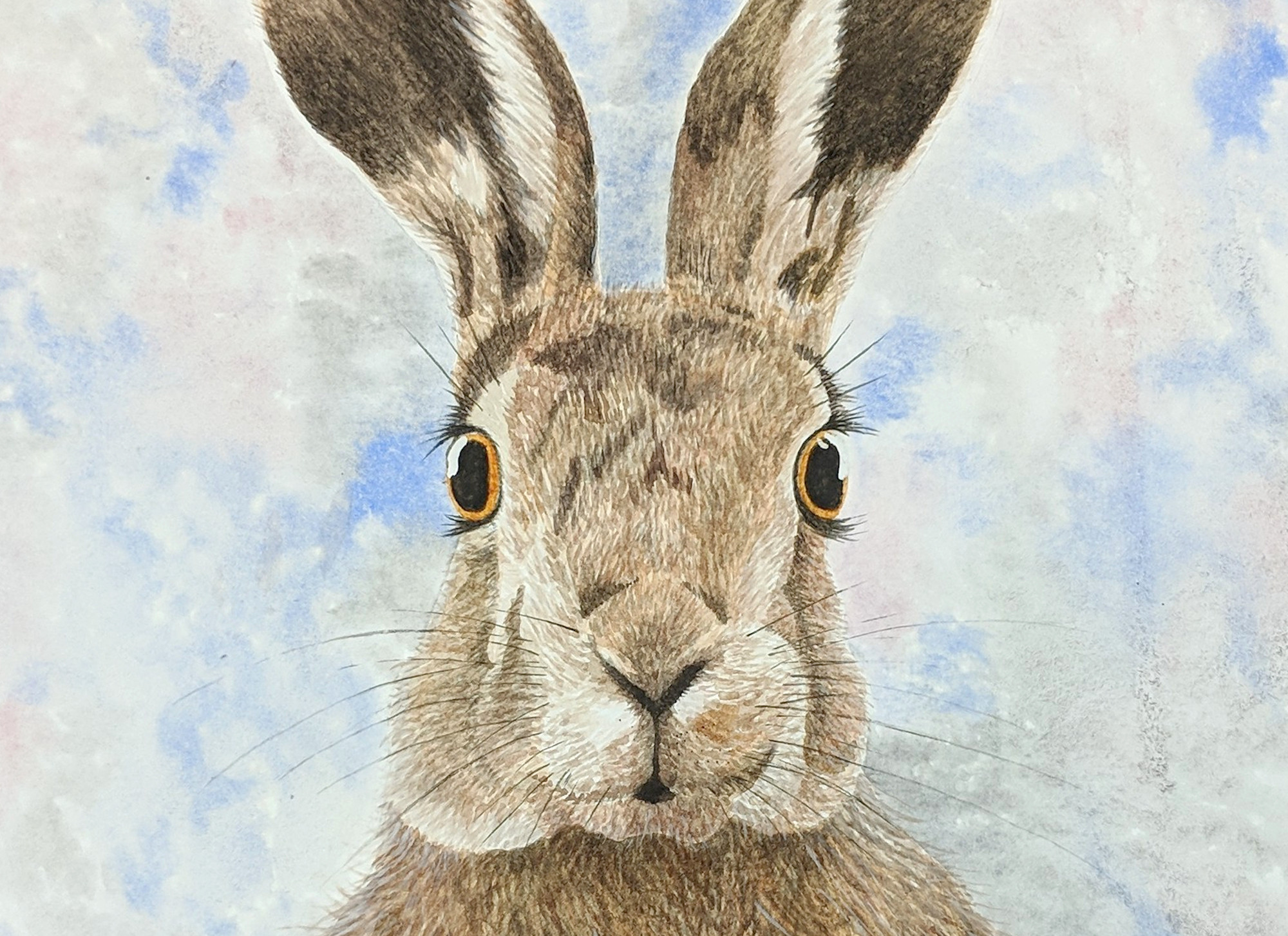 A watercolour hare painted at home at an online painting class.