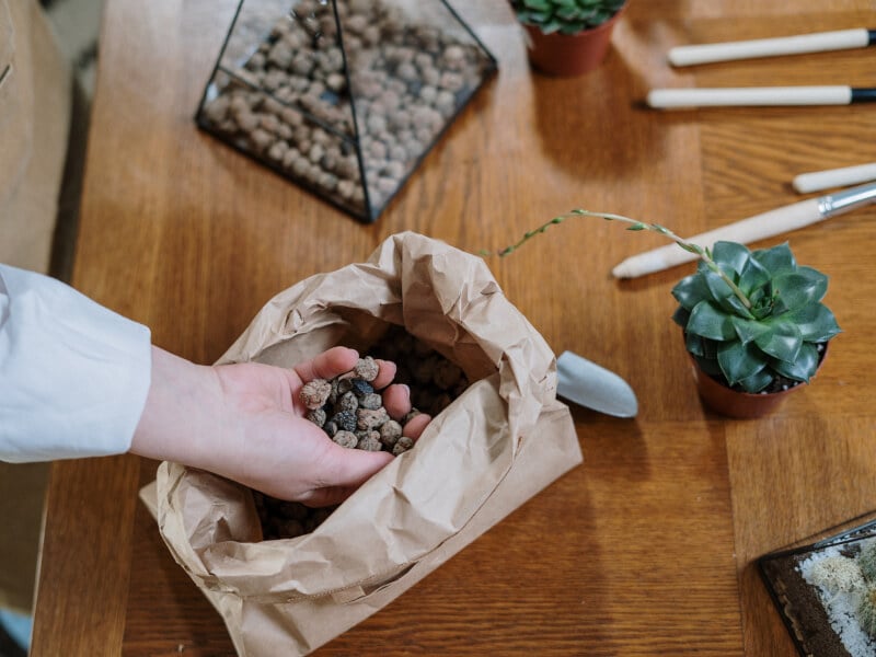 Person holding stones whilst making a terrarium