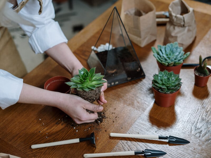 A person building a glass terrarium at a terrarium making class in London