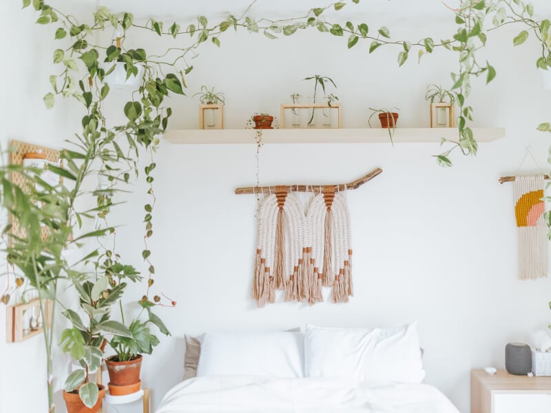 Boho style macrame wall hanging with green foliage surrounding it