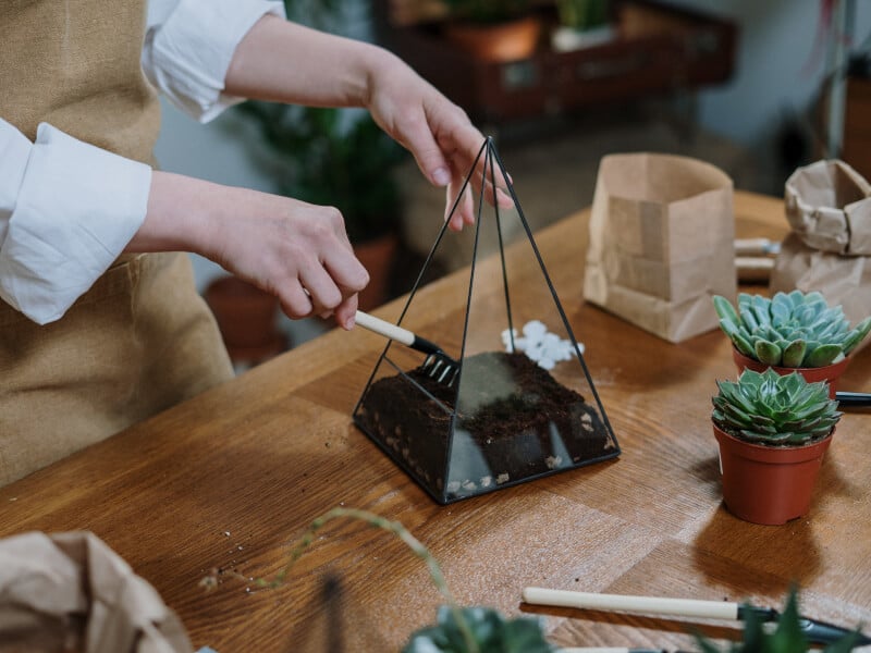 Close up image of hands making a DIY terrarium