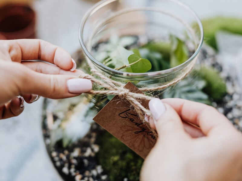 Person tying string bow on a glass terrarium