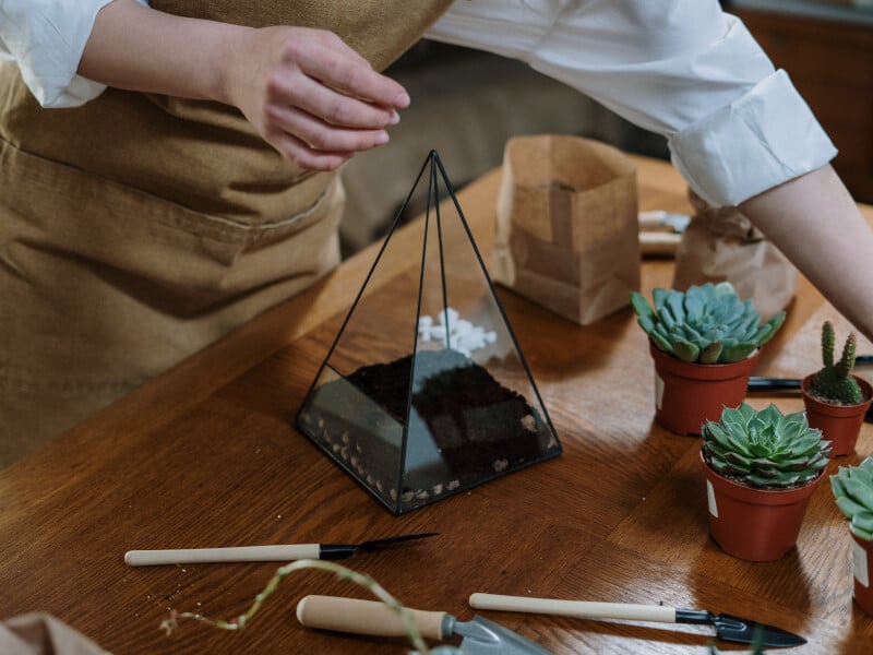 Person wearing brown apron making a terrarium