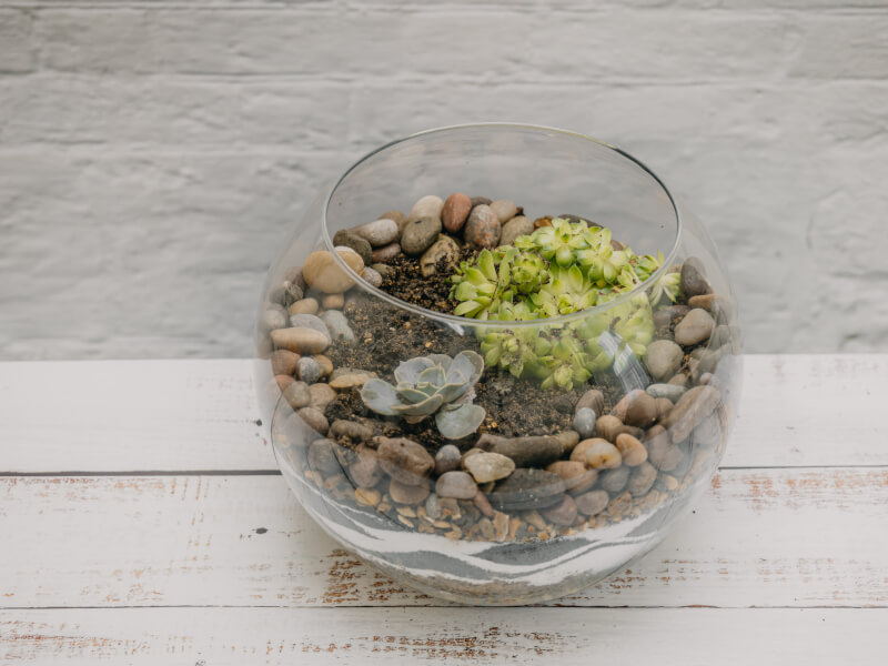 A picture of a round glass terrarium filled with soil and succulents, sitting on a wooden table