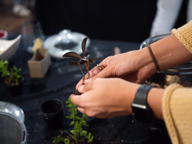 A closeup of a woman holding terrarium plants.