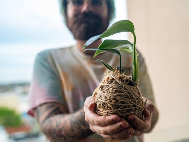 A man holding a finished kokedama