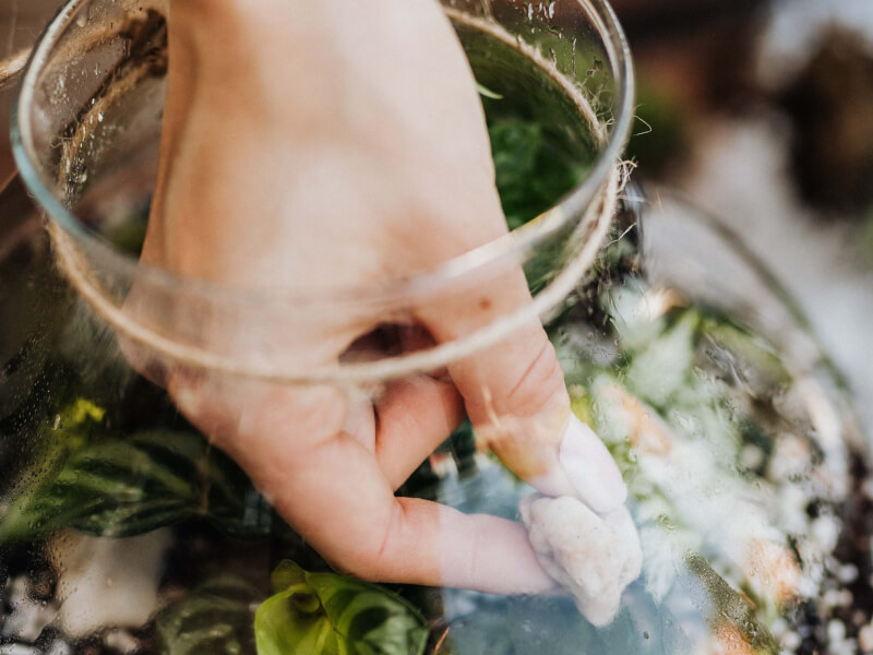 A person adding the finishing touches to their glass terrarium